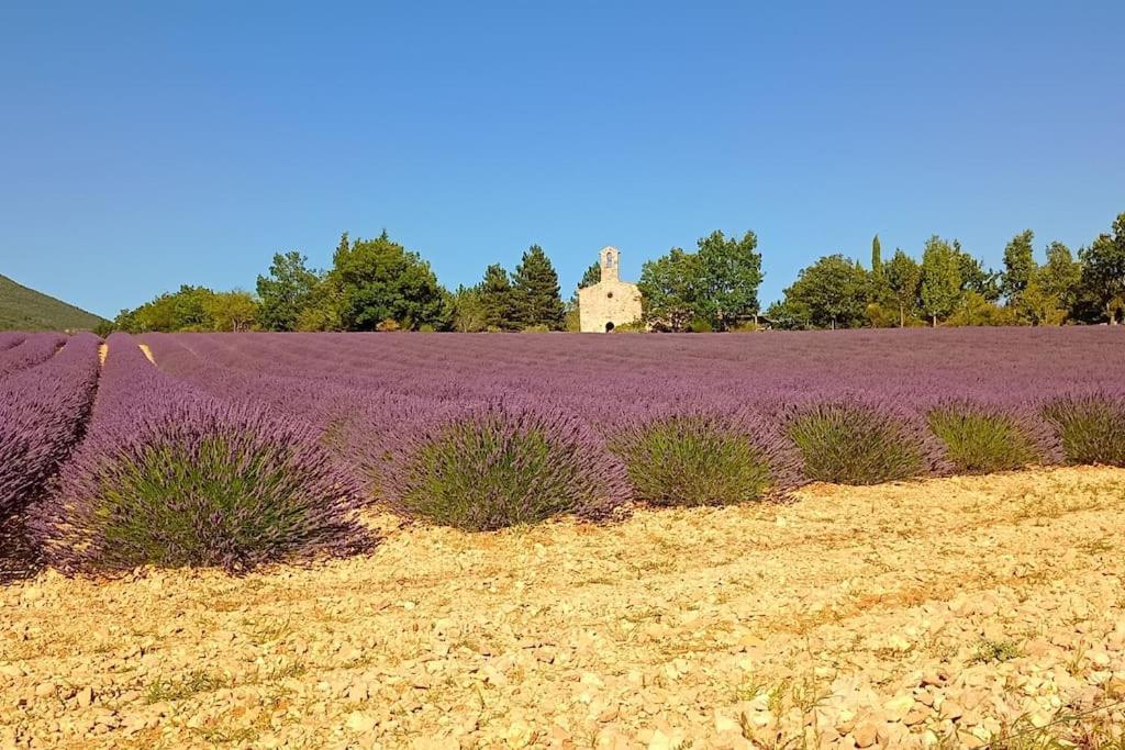 Le Mazet Sainte-Jalle, Piscine Chauffee, Jardin Clos, Barbecue En Baronnies Provencales Eksteriør bilde