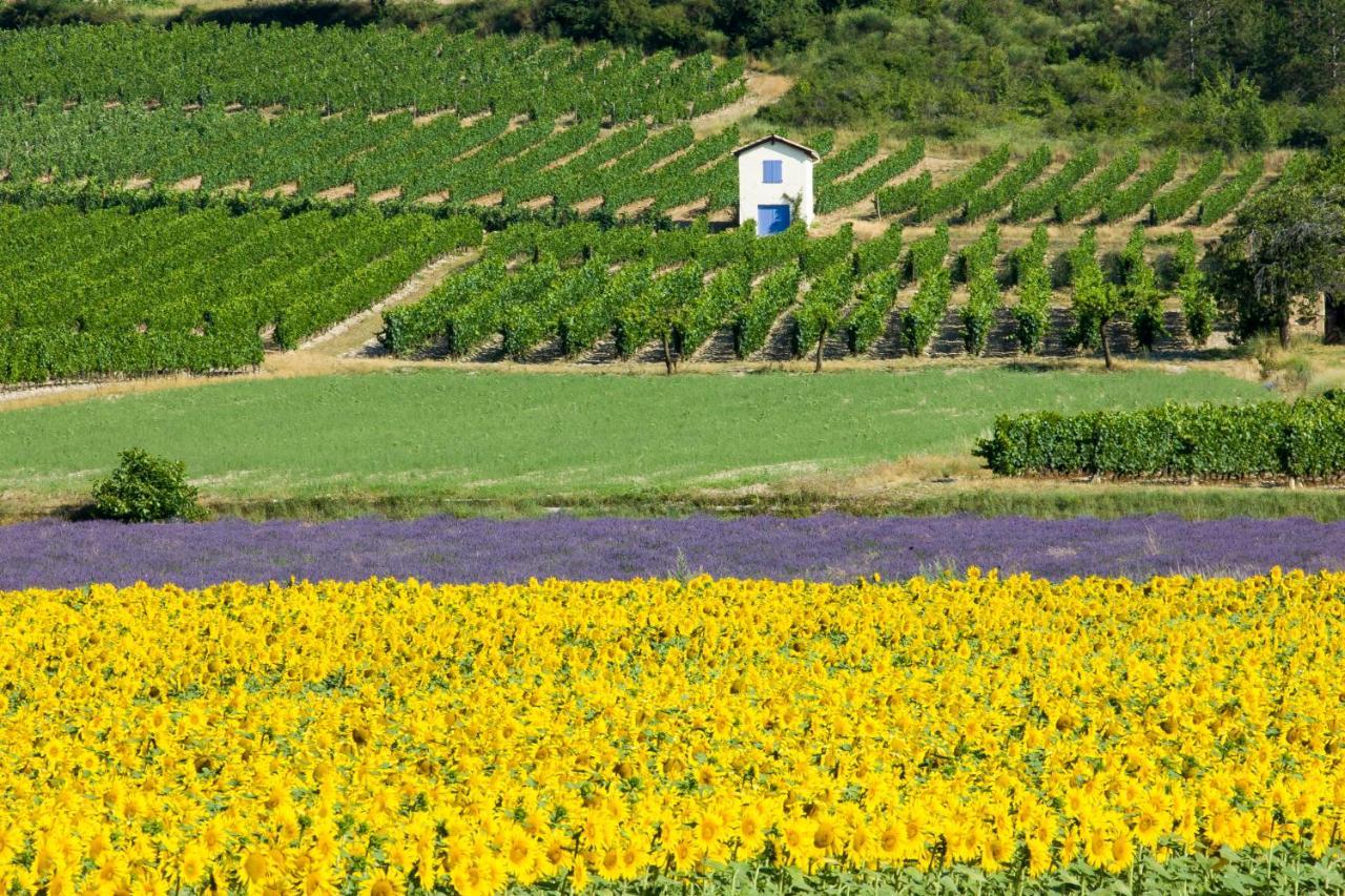Le Mazet Sainte-Jalle, Piscine Chauffee, Jardin Clos, Barbecue En Baronnies Provencales Eksteriør bilde